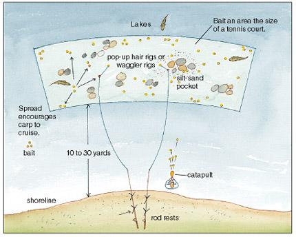 Underwater - if0406carpflatsh.jpg